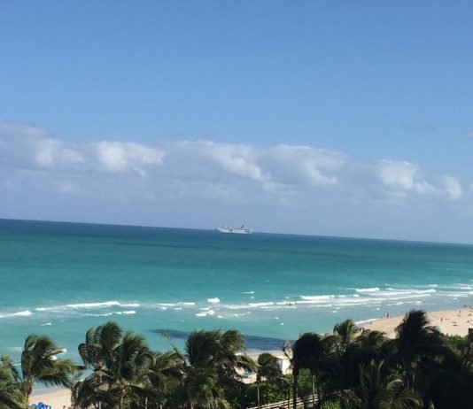 Was tun in Miami? Frag die Crew! 5 Tipps, die du wissen musst! Miami Blick vom SOHO Beach House