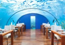 Hilton Honors Bonus Punkte: Maximale Punkte Hilton Honors Points Unlimited 2021