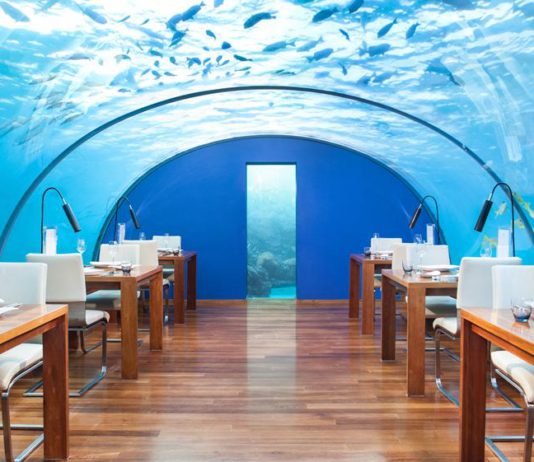 Hilton Honors Bonus Punkte: Maximale Punkte Hilton Honors Points Unlimited 2021