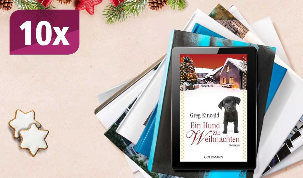 Eurowings Boomerang Club Medienshop