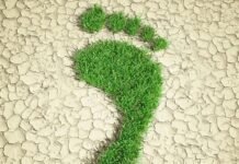 Umweltbewusst fliegen! Geht das? In diesem Artikel werfen wir einen genaueren Blick auf die spannende Frage, ob und wie umweltbewusstes Fliegen tatsächlich umsetzbar ist und welche Schritte Reisende ergreifen können, um ihre Reisen nachhaltiger zu gestalten.