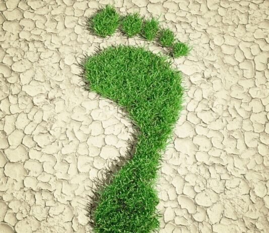 Umweltbewusst fliegen! Geht das? In diesem Artikel werfen wir einen genaueren Blick auf die spannende Frage, ob und wie umweltbewusstes Fliegen tatsächlich umsetzbar ist und welche Schritte Reisende ergreifen können, um ihre Reisen nachhaltiger zu gestalten.