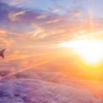 Flüge suchen mit Google Flights für Fortgeschrittene