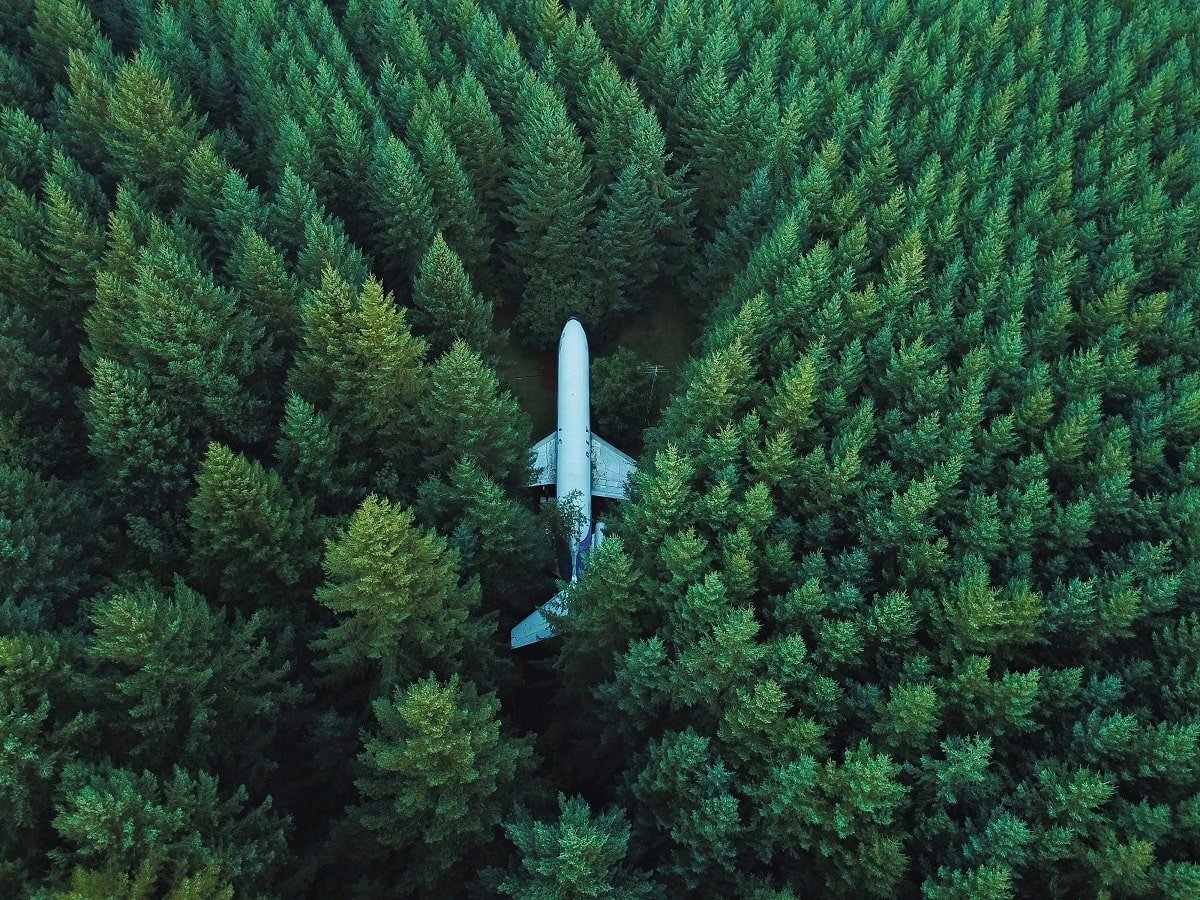 Wow Diese Airline Kompensiert Ab Jetzt Alle Co2 Emissionen