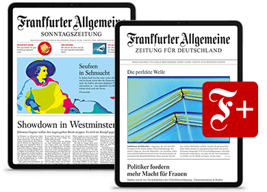 bahn Bonus Punkte mit FAZ Abo