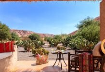 Reise Deals der Woche: Atacama WĂĽste, MĂĽnchen & Prag