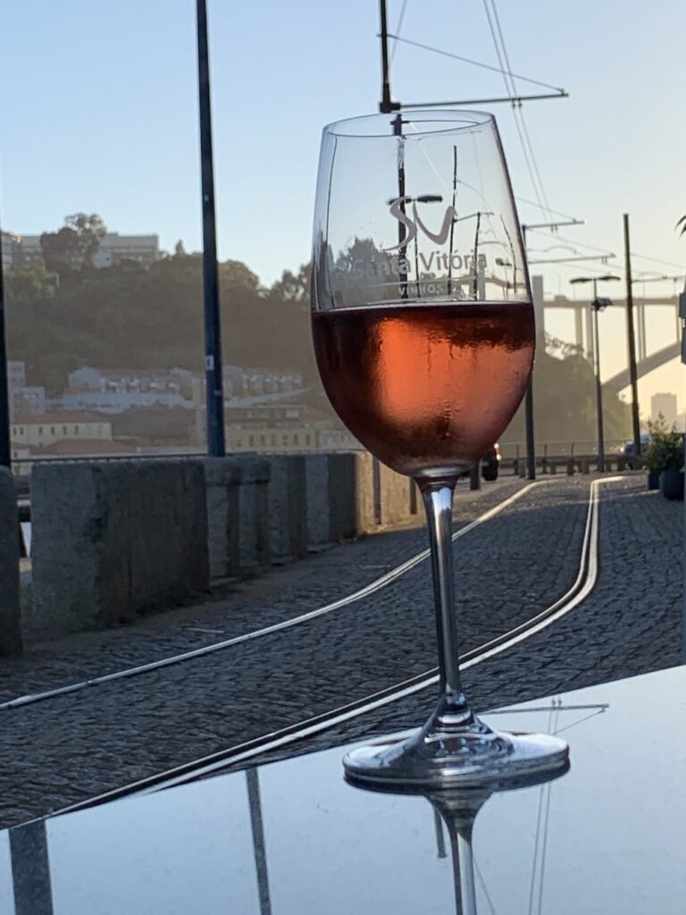 Glas Wein von Santa Vitoria am Douro