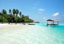 50 Jahre Malediven-Tourismus: Jubiläum im Sehnsuchtziel 50 Jahre Malediven-Tourismus / Foto Colin Watts - Unsplash