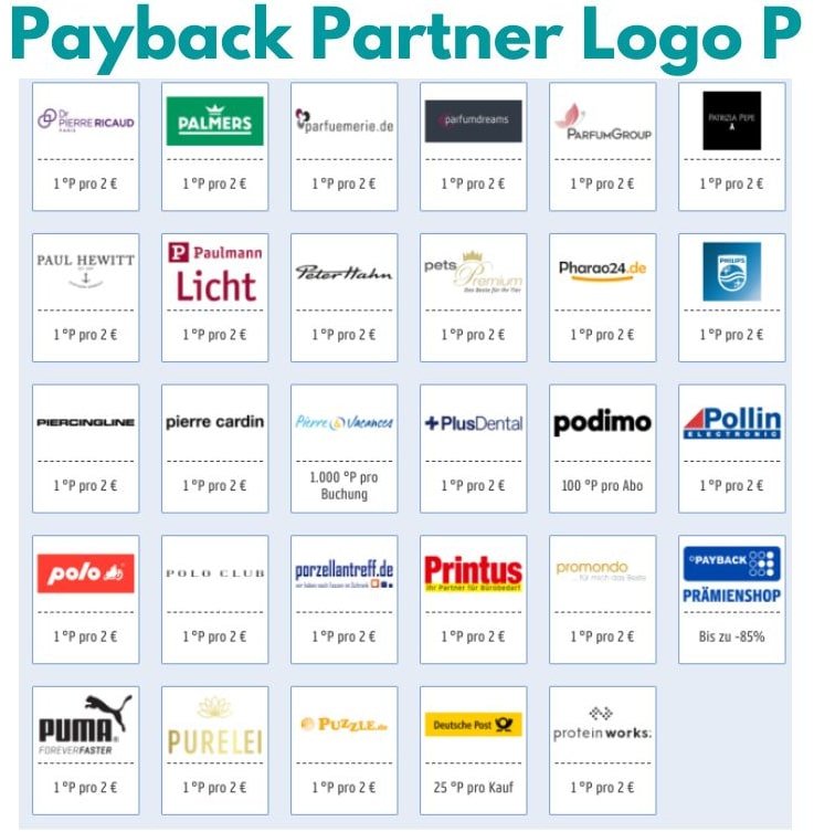 Payback Partner Logo P