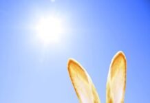 Osterspecial von H-Hotels