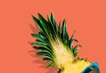 Gesunde Ernährung im Urlaub – Tipps fĂĽr Genuss ohne Gewichtszunahme