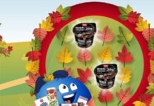 REWE Payback Herbstgewinnspiel Ab nächster Woche ist es soweit! Du kannst am Rewe Herbstgewinnspiel teilnehmen und täglich Coupons gewinnen, die deinen Einkauf bis zu 10-fach lohnender machen.