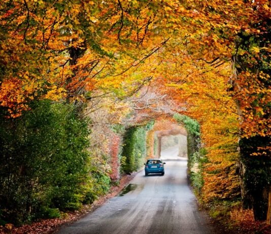 Avis Preferred DRIVE: im Oktober jede 10. Anmeldung kostenfrei Ab sofort können Avis Kunden ein ganzes Jahr lang exklusiv und gebündelt die besten Vorteile der Autovermietung genießen, indem sie sich für die Mitgliedschaft im neuen Avis Preferred DRIVE entscheiden.