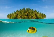 Marriott Bonvoy lockt mit Bonuspunkten in Lateinamerika Vom 17. Juni bis 9. September 2024 Punkte in 250 Hotels in Lateinamerika sammeln.