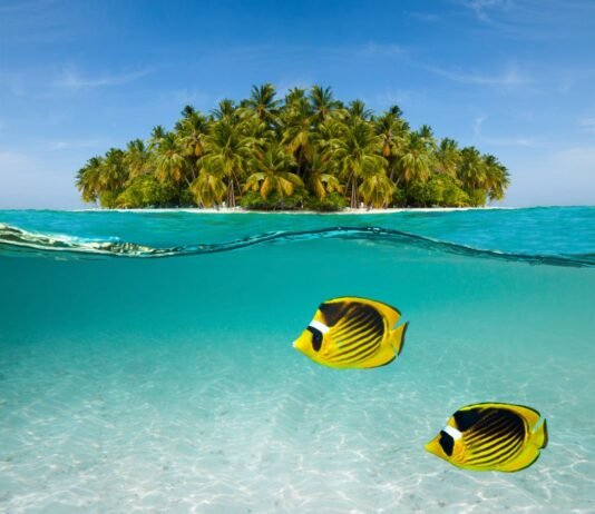 Marriott Bonvoy lockt mit Bonuspunkten in Lateinamerika Vom 17. Juni bis 9. September 2024 Punkte in 250 Hotels in Lateinamerika sammeln.