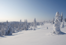 Discover Airlines: Neue Flüge nach Finnisch-Lappland Discover Airlines erweitert ihr Angebot und fliegt dich jetzt direkt nach Finnisch-Lappland. Das ganze Jahr über kannst du Kittilä, einen Ort nur wenige Kilometer südlich des Polarkreises, bequem erreichen.