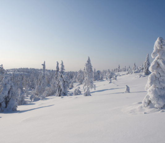 Discover Airlines: Neue Flüge nach Finnisch-Lappland Discover Airlines erweitert ihr Angebot und fliegt dich jetzt direkt nach Finnisch-Lappland. Das ganze Jahr über kannst du Kittilä, einen Ort nur wenige Kilometer südlich des Polarkreises, bequem erreichen.