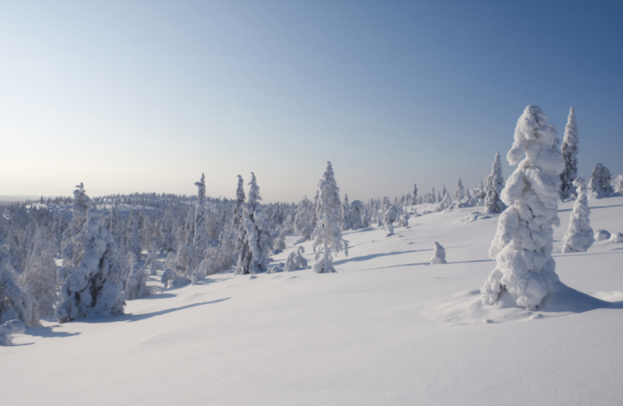 Finnisch-Lappland-min Discover Airlines erweitert ihr Angebot und fliegt dich jetzt direkt nach Finnisch-Lappland. Das ganze Jahr über kannst du Kittilä, einen Ort nur wenige Kilometer südlich des Polarkreises, bequem erreichen.