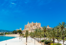 Community Award Flight: Der exklusive Flug nach Mallorca Hast du schon vom Community Award Flight gehört? Der nächste Event steht kurz bevor – dieses Mal führt er uns nach Palma de Mallorca!