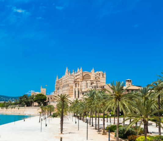 Community Award Flight: Der exklusive Flug nach Mallorca Hast du schon vom Community Award Flight gehört? Der nächste Event steht kurz bevor – dieses Mal führt er uns nach Palma de Mallorca!