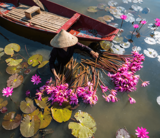 GHA DISCOVERY Südostasien Angebote im Überblick Fernweh? Die GHA DISCOVERY Südostasien Angebote warten auf dich.