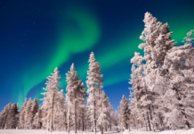 KLM Winterziele: Neu im Flugplan nach Lappland KLM Winterziele wachsen: Neu im Flugplan ist Kittilä in Finnisch-Lappland.