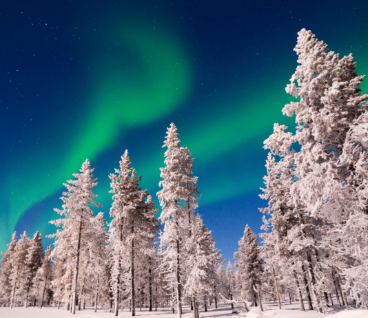KLM Winterziele: Neu im Flugplan nach Lappland KLM Winterziele wachsen: Neu im Flugplan ist Kittilä in Finnisch-Lappland.