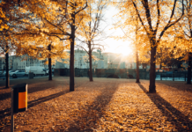 Reisen in der Nebensaison wird immer beliebter Reisen in der Nebensaison versprechen weniger Touristen, mildes Wetter und günstigere Preise – entdecke jetzt die Vorteile.