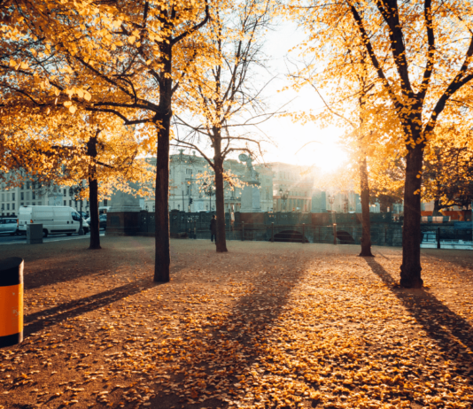 Reisen in der Nebensaison wird immer beliebter Reisen in der Nebensaison versprechen weniger Touristen, mildes Wetter und günstigere Preise – entdecke jetzt die Vorteile.