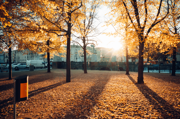 Berlin_im_Herbst Reisen in der Nebensaison versprechen weniger Touristen, mildes Wetter und günstigere Preise – entdecke jetzt die Vorteile.