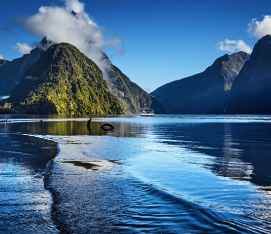 Neuseeland führt Naturpark-Eintrittsgebühren ab 2027 ein Ab 2027 erhebt Neuseeland Naturparks Eintrittsgebühren in vier Parks. Erfahre, wer zahlt, wie hoch sie sind und wofür das Geld genutzt wird.