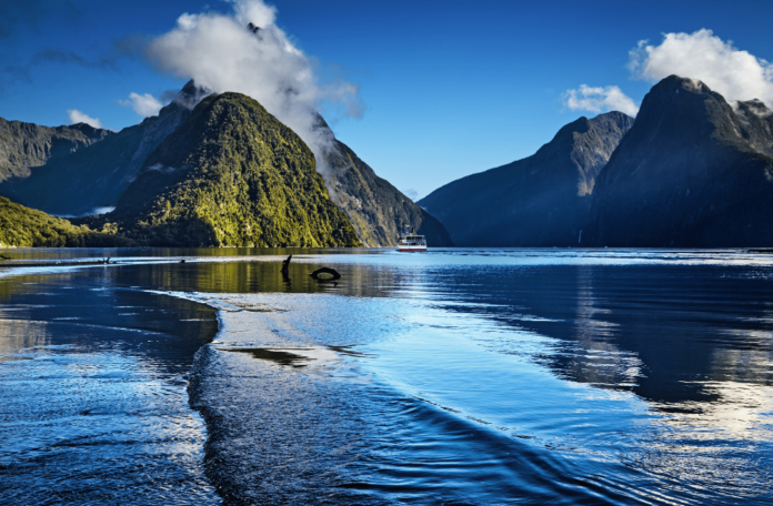 Ab 2027 erhebt Neuseeland Naturparks Eintrittsgebühren in vier Parks. Erfahre, wer zahlt, wie hoch sie sind und wofür das Geld genutzt wird.