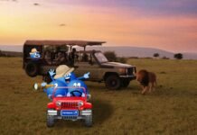 PAYBACK Punkte jetzt auch bei Berge & Meer Ab sofort können Kundinnen und Kunden bei Reisen mit Berge & Meer PAYBACK Punkte sammeln.