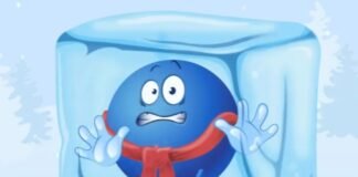 PAYBACK Rubbel die App bringt tägliche Gewinne PAYBACK Rubbel die App läuft bis 1. Februar 2026. Einmal täglich rubbeln, Punkte, Rabatte oder Sachpreise gewinnen.