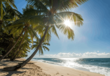 Reiselust 2026 auf neuem Höchststand Reiselust 2026 so hoch wie nie. 82 Prozent planen Urlaub – warum die Ostsee Bayern überholt und Junge mehr ausgeben.