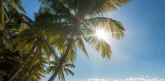 Reiselust 2026 auf neuem Höchststand Reiselust 2026 so hoch wie nie. 82 Prozent planen Urlaub – warum die Ostsee Bayern überholt und Junge mehr ausgeben.