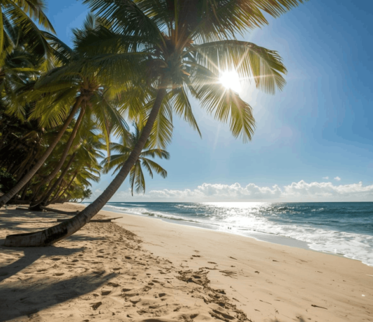 Reiselust 2026 auf neuem Höchststand Reiselust 2026 so hoch wie nie. 82 Prozent planen Urlaub – warum die Ostsee Bayern überholt und Junge mehr ausgeben.