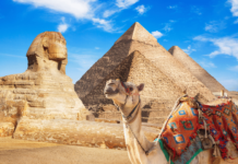 Digitales Ägypten-Visum startet ab August in Kairo Das digitale Ägypten-Visum soll ab August die Einreise in Kairo mit einem QR-Code-System vereinfachen.