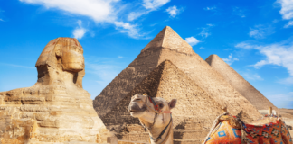 Digitales Ägypten-Visum startet ab August in Kairo Das digitale Ägypten-Visum soll ab August die Einreise in Kairo mit einem QR-Code-System vereinfachen.