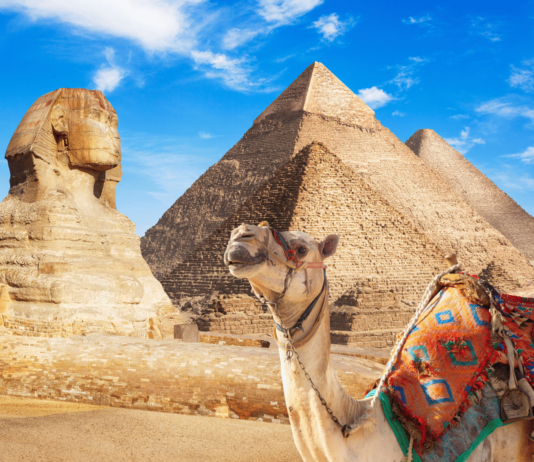 Digitales Ägypten-Visum startet ab August in Kairo Das digitale Ägypten-Visum soll ab August die Einreise in Kairo mit einem QR-Code-System vereinfachen.