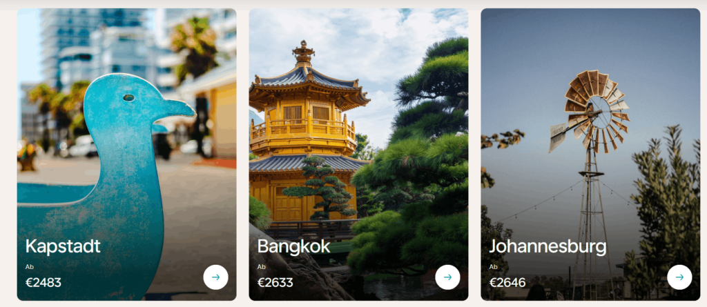 KLM Real Deal Days in der Business Class